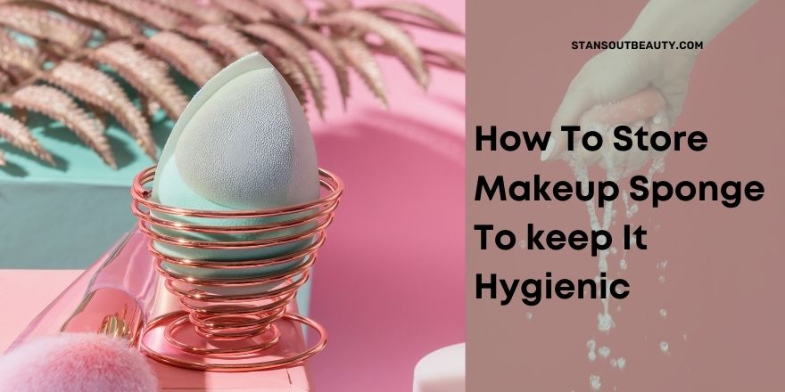 How to Store Makeup Sponge to Keep It Hygienic? - StansOut Beauty Company