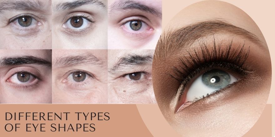 Different Types Of Eye Shapes